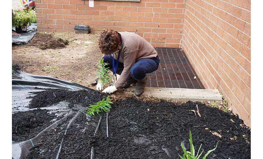 Spring Up Extended Care 4-28-2023 Veronica Onwunaka planting for web